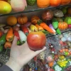 naranja un