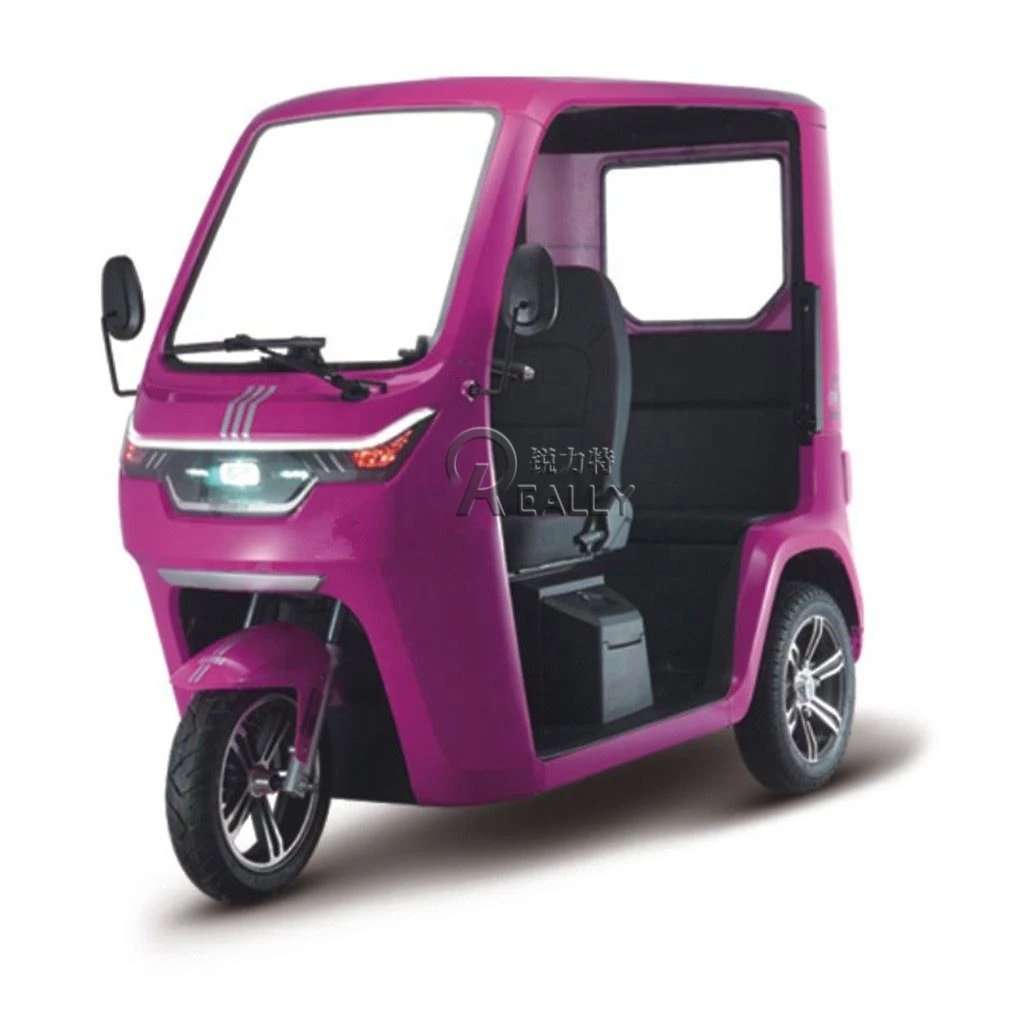 3 Wheel Electric Tuk Tuk Tricycle for Adults & Seniors