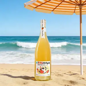 Indulge in 15% ABV Alcohol Orange Jam Alcoholic Gin Liqueur 750ml Bottle for Wholesale Orders