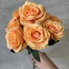 #8 dark orange