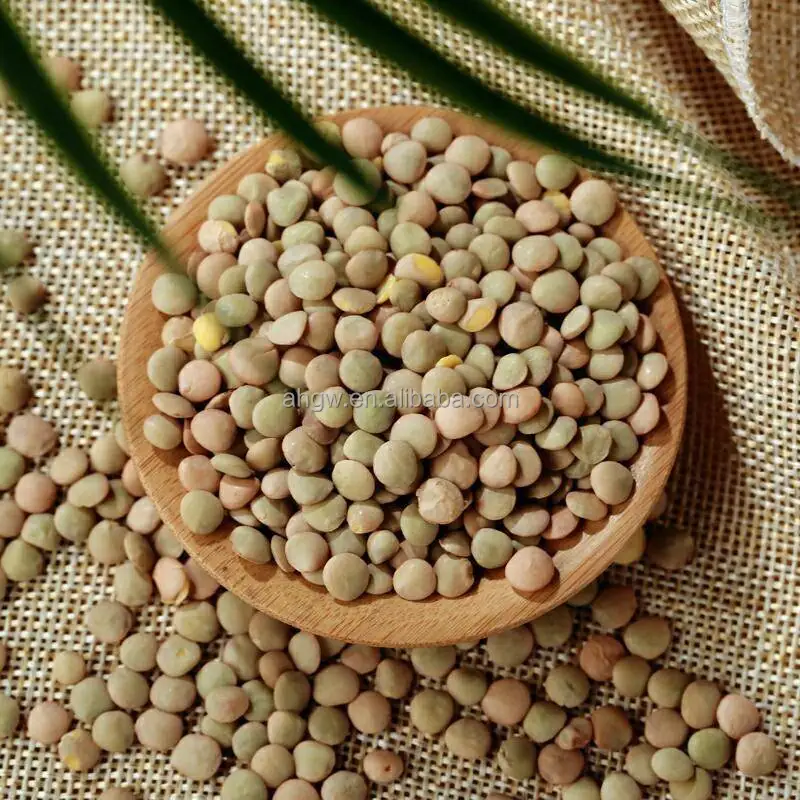 Wholesale Newest Crop Small Lentils Beans High Quality Bulk Dried Green