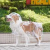 Impermeable transparente puro con ribete blanco.