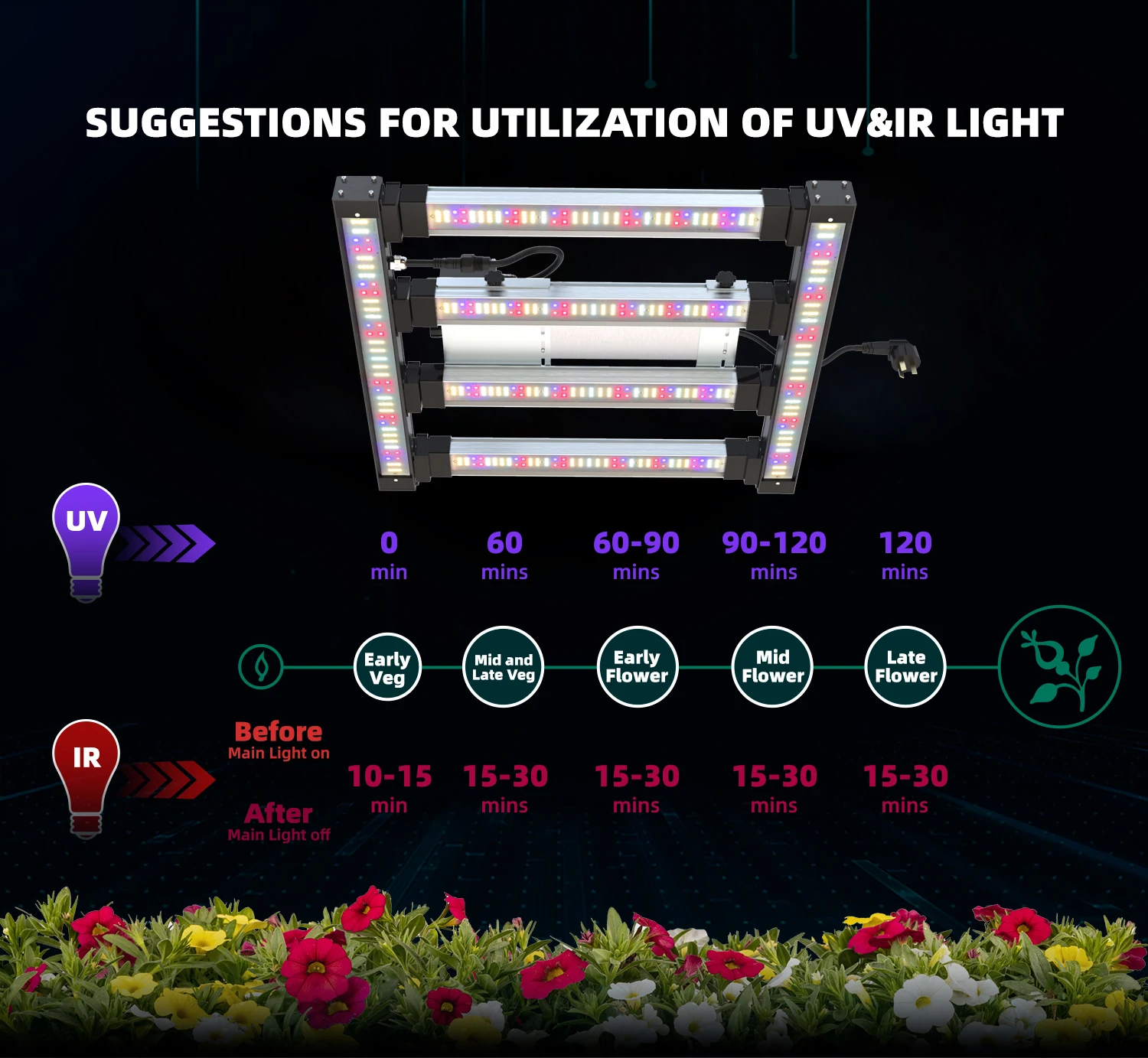 Imagen principal del manual