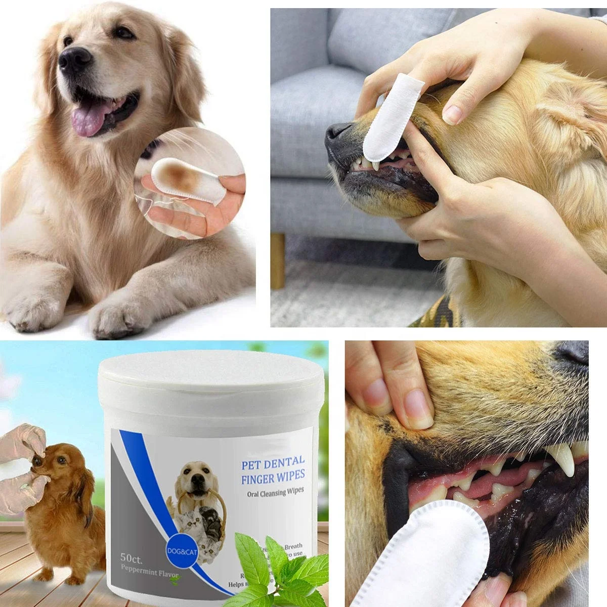 Pet Dental Fingers Wipes Cleaning Dog Dry Wash Private Label Oral