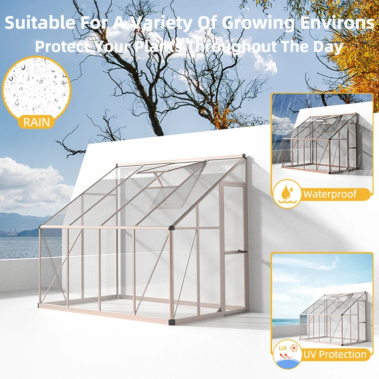 Дизайнерский уличный Тепличный стеклянный Тепличный зеленый дом для зимы