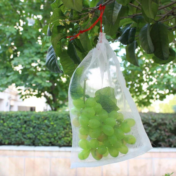 Agriculture Fruit Net Protection Bag Grape Anti Insect Mesh Netting