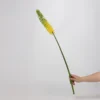 Jaune Vert
