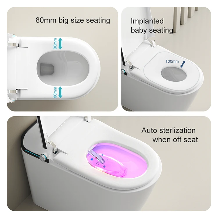 Guangdong Japanese Automatic Smart Black Intelligent Public Toilet for Elderly People With Built in Water tank
