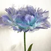 Blue purple (diameter 60cm )