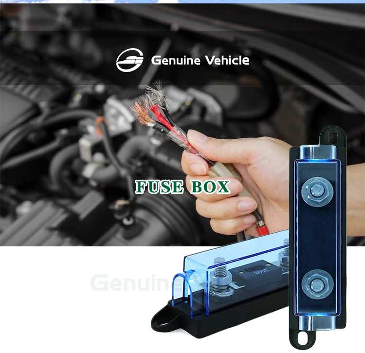 Genuine Vehicle 200a High Quality Auto Blade Marine Car Anl Mini Fuse