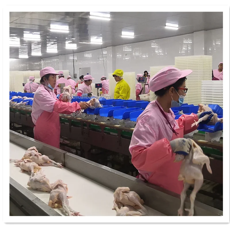 High Quality Automatic Chicken Duck Goose Processing Plant Poultry Slaughtering Equipment for Slaughterhouse