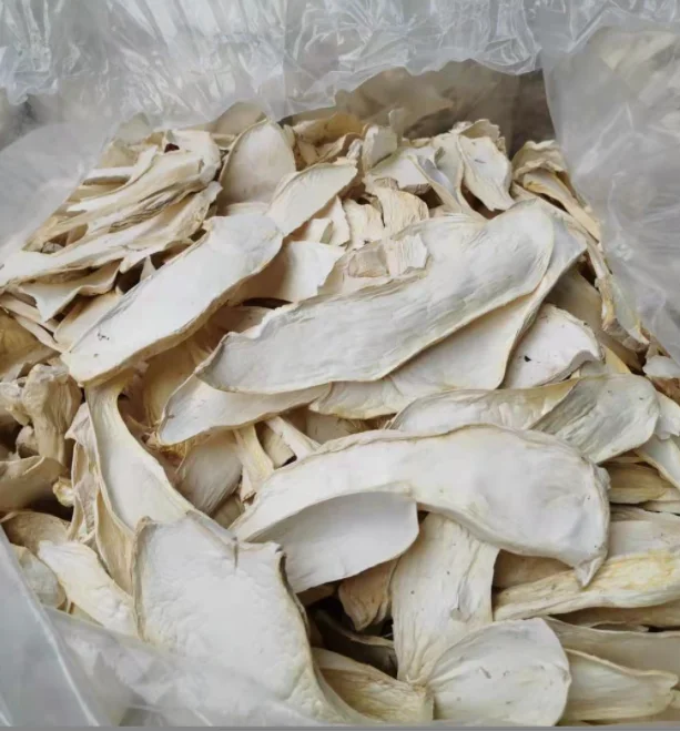 100% чистый сырой Pleurotus eryngii сухой гриб, Китай, высушенный стебель устриц