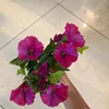 Rojo, 60 cm, 12 ramas.