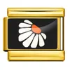 ICP-YCAA0070-2