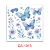CA-1013