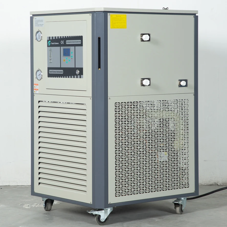 DLSB-50/80 DLSB Series Refrigerator Circulator Cryogenic Coolant Circulation Pump Alcohol Chiller Machine
