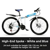 High-end model - white and blue