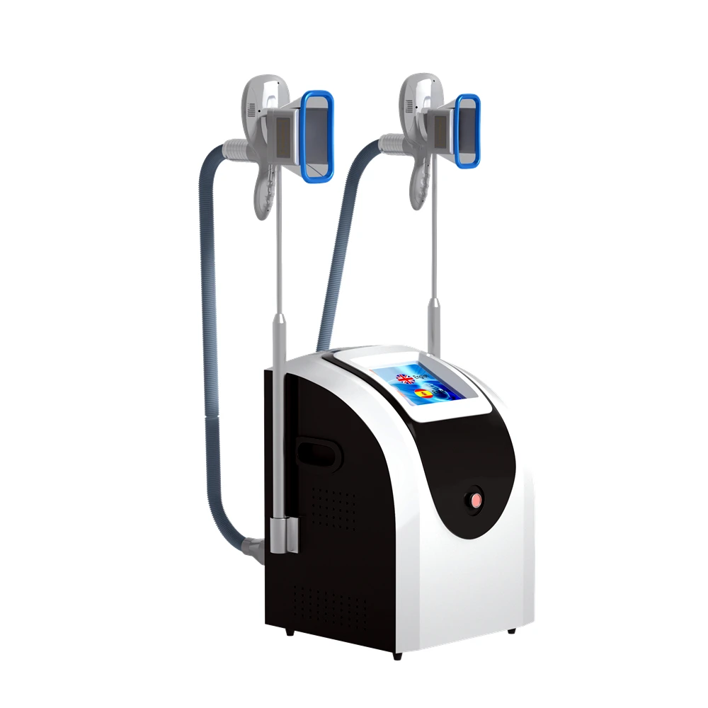 Portable 2 Handle Work at the Same Time Cryotherapy Fat Freezing Cryolipolyse Slimming Machine