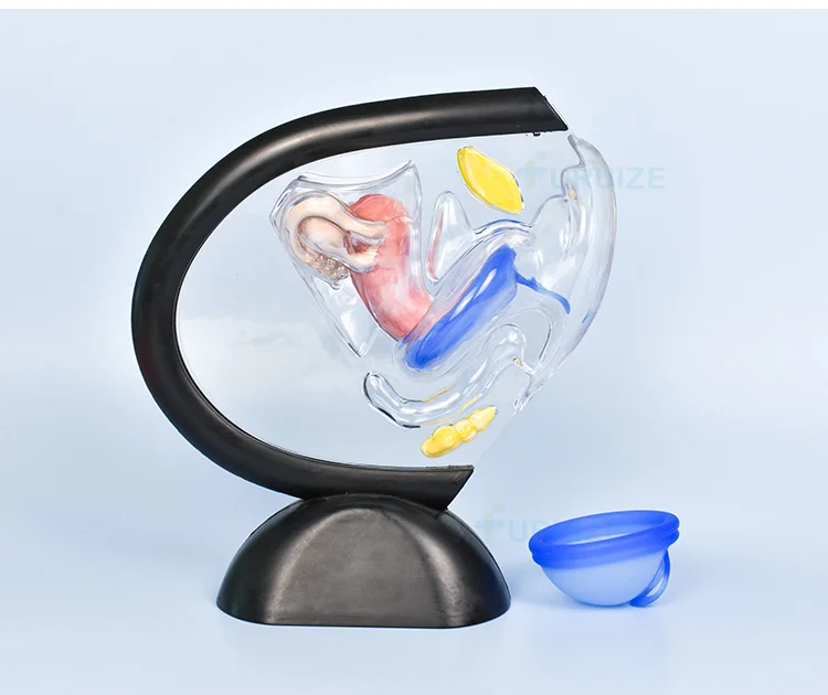 Iso10993 Furuize Period Cups Ring Menstrual Disc 100 Medical Grade Silicone Period Disco Buy