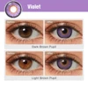 Violeta