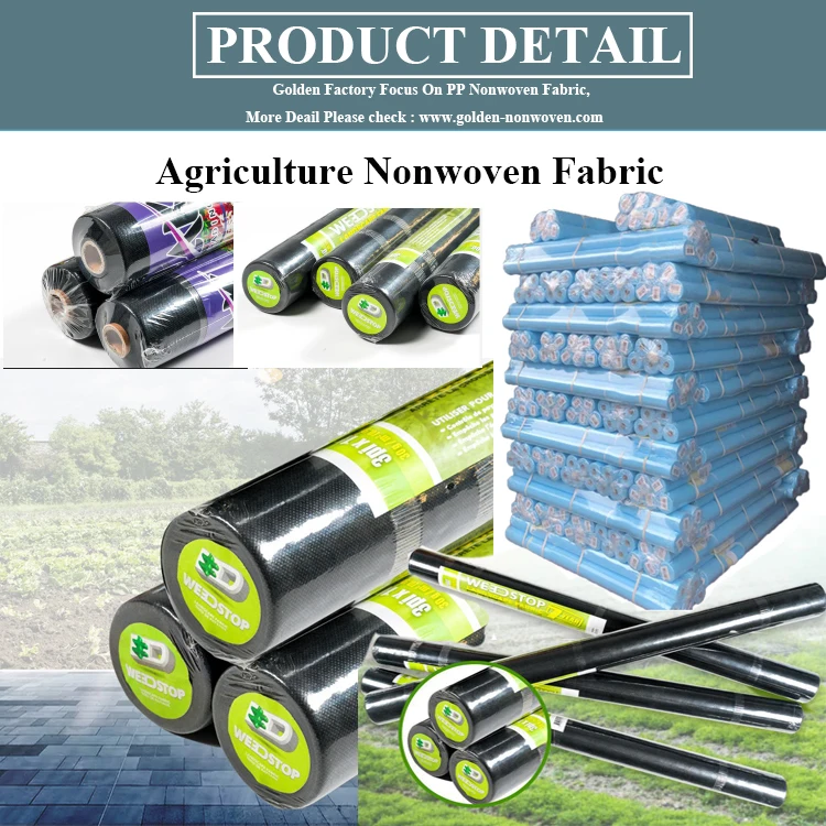 100 Tnt Pp Spunbond Non Woven Fabric Roll Anti Uv Pp Spun-Bond 17Gsm Agriculture Non Woven Fabric For Fruit Cover