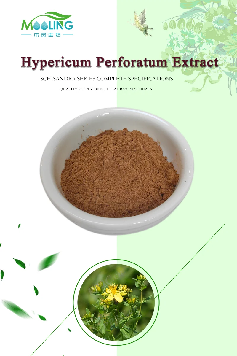 Wholesale Pure Hypericum Perforatum Extract Hypericum Perforatum Powder ...