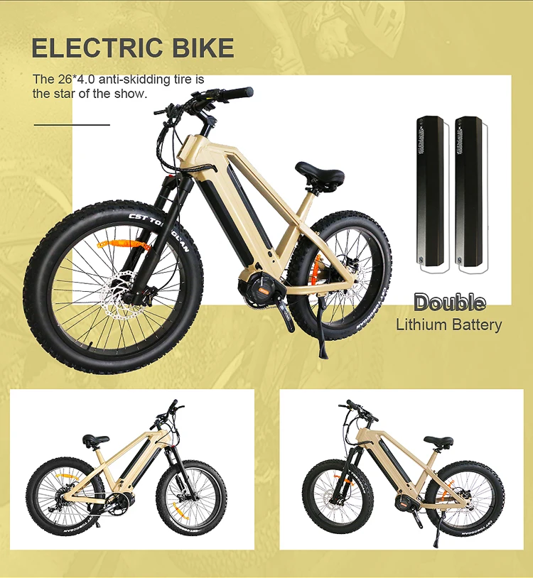 40 Mph Electric Hybrid Bike Mid Drive Dual Battery Import Commuter ...