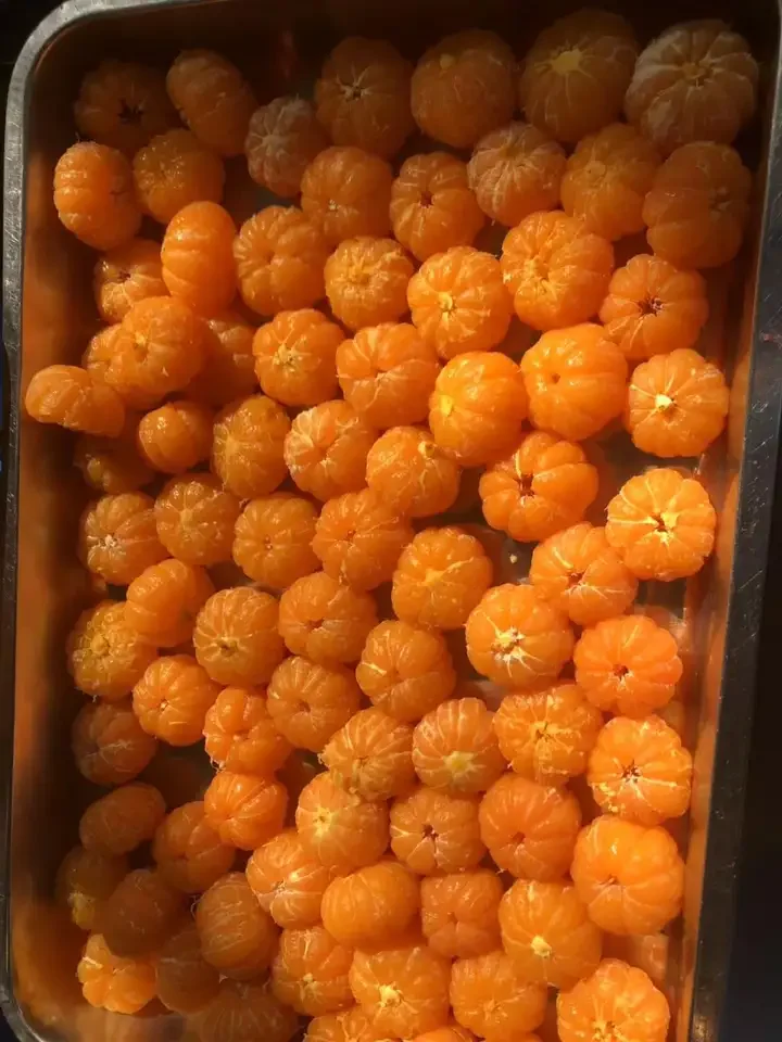 Industrial Automatic Tangerine Juice Making Extractor Machine Maker