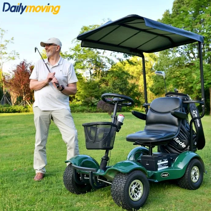 LiFePO4 Equipped Single Seat Electric Golf Buggy CE Certified 1 Seat Golf Buggy