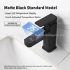 Black Faucet
