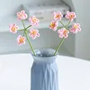 5 forget-me-not pink