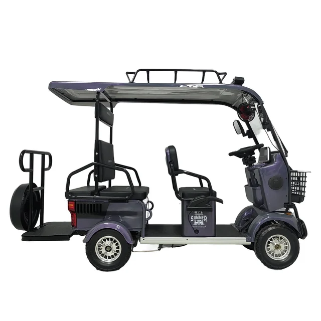 HLD Adult Electric Scooter 4 Wheels Ebike 800W 60V Four Wheel Electric Four Wheeler Leisure Customized Color OEM
