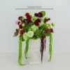 1#60cm Green&Red Ball