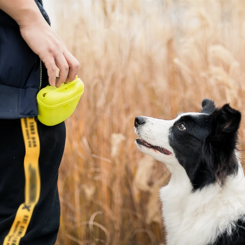 Custom Silicone Portable Dog Feeding Pouch Puppy Dog Training Treat Bag with Magnetic Closure Waist Clip