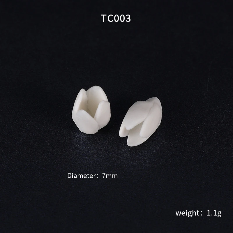 TC003.JPG