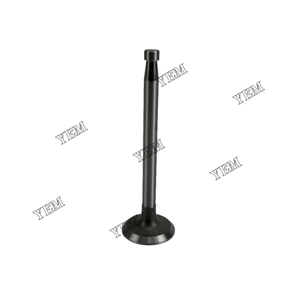 295AD Valve for SDEC Valve Engine Repair Kit 5