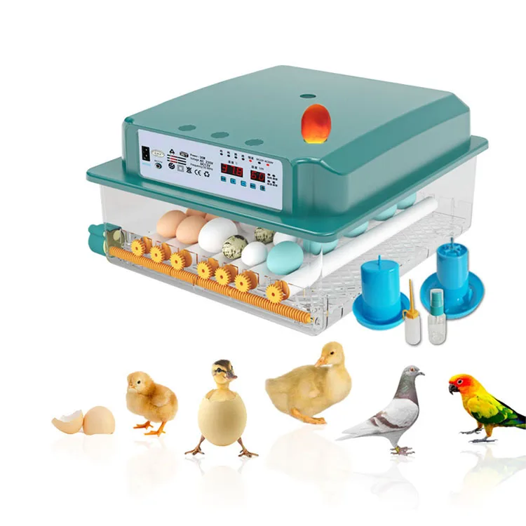 New Upgrade Dc Ac Power Mini Incubator 6 9 12 16 Eggs Incubator Kit for Sale in Uk