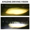 White+Yellow