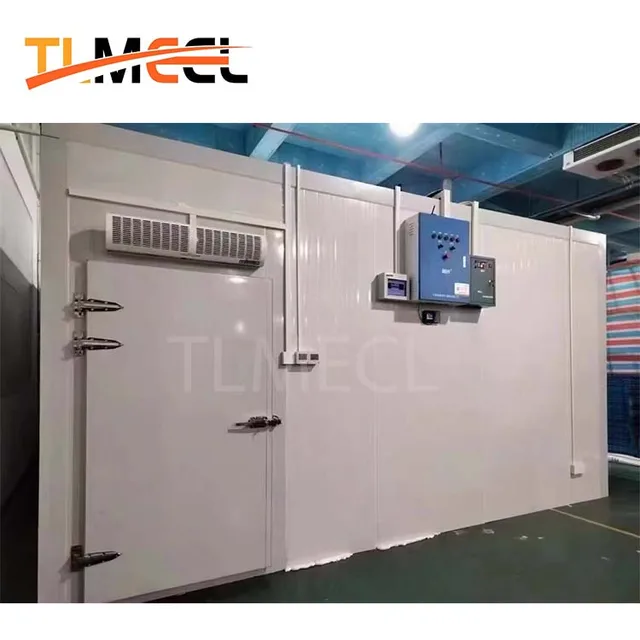 High quality cold storage cooling system cold room Customized low price walk-in freezer cold storage