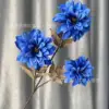 Dalia azul de tres cabezas