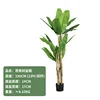 Banana tree, 150cm tall (comes with black base)