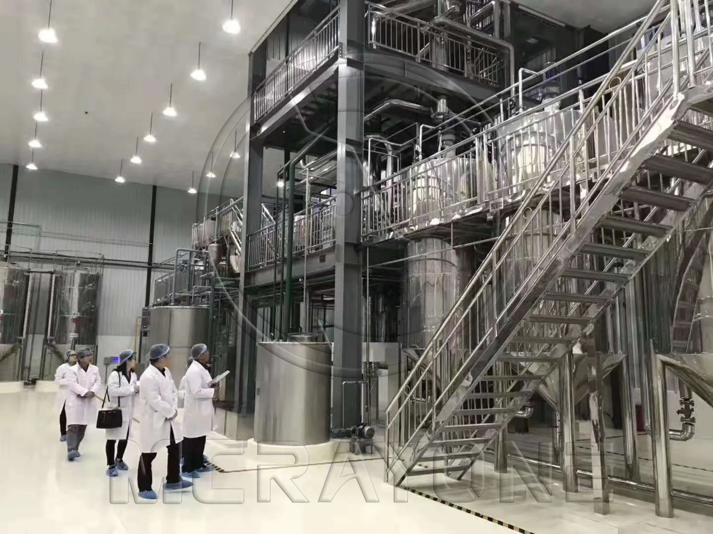 Beef Tallow Oil Processing Machine Animal Oil Extraction Machine Cow Fat Beef Tallow Animal Oil Press Machine