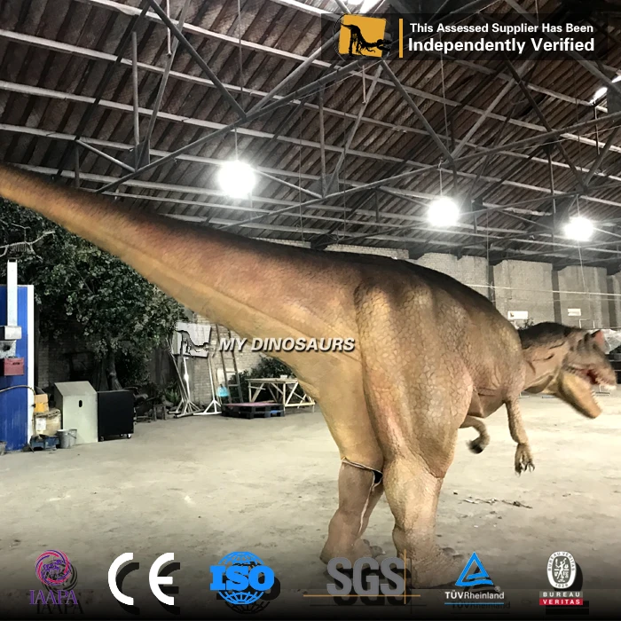 Jouets Griffes De Dinosaure Mains Et Pattes 1 PCS Caoutchouc Doux Réaliste Pour Adultes Enfants Cosplay