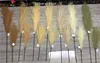 artifiicial pampas 9forks