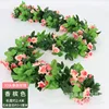 Spring Collection: 33 Rose Vine in Champagne Color