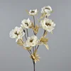 6 heads of anemone milky white