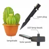Cactus/1