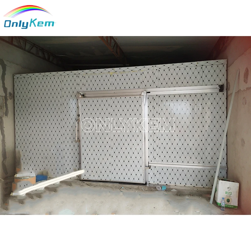 Cold Storage Manual Electric Sliding Door for Large Cold Room