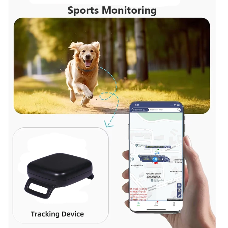 B - Mini traceur intelligent Anti-perte pour animaux de compagnie