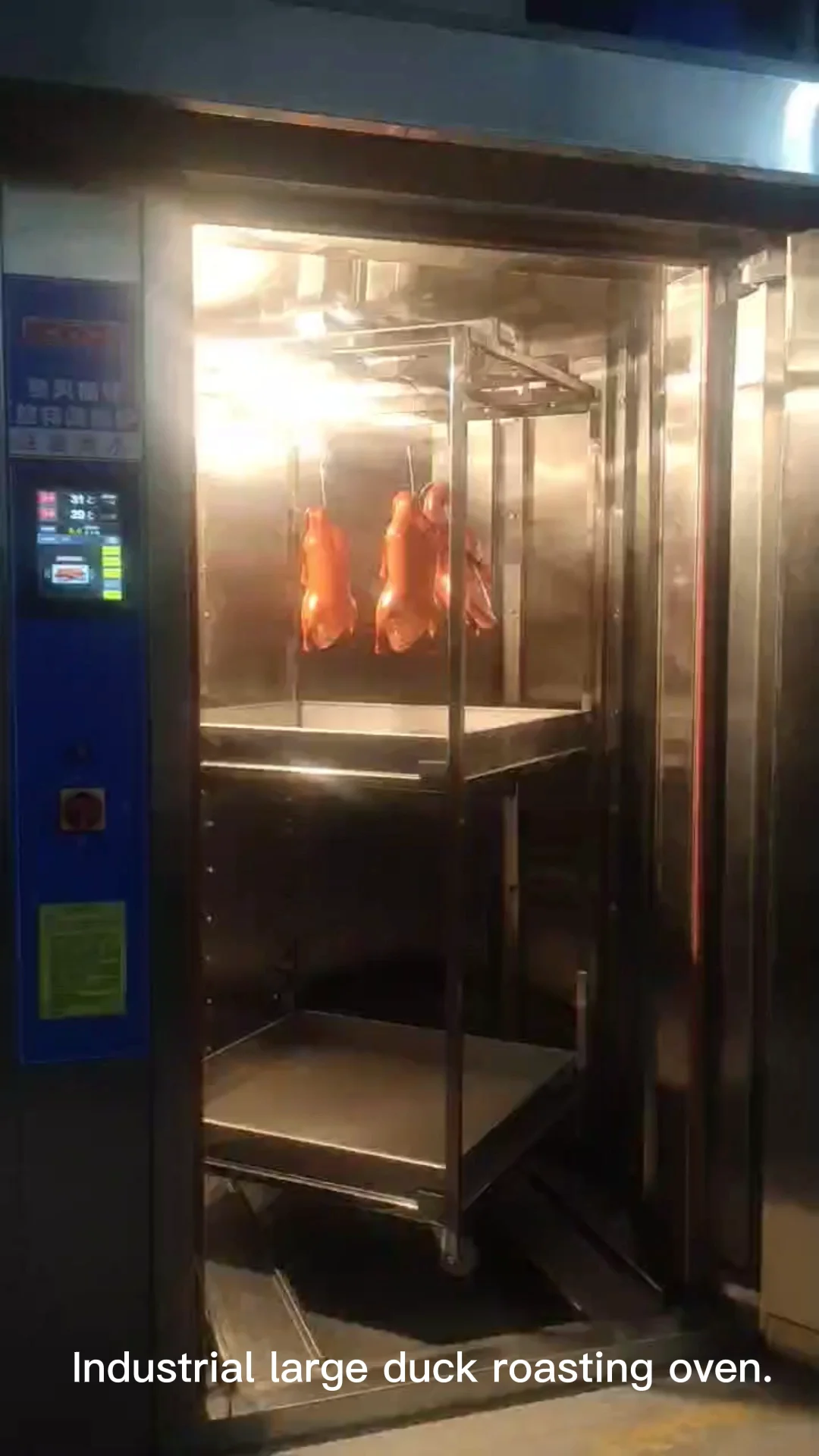 Hot Air Circulation Convectional Roast Duck Machine Rotary Gas Oven For Bakery Buy Rotary Oven